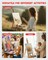 36 Pack 8x10 Inch Canvas Boards for Painting, Blank Canvas Panels Gesso Primed Acid-Free 100% Cotton for Acrylics Oil Watercolor Tempera Paints